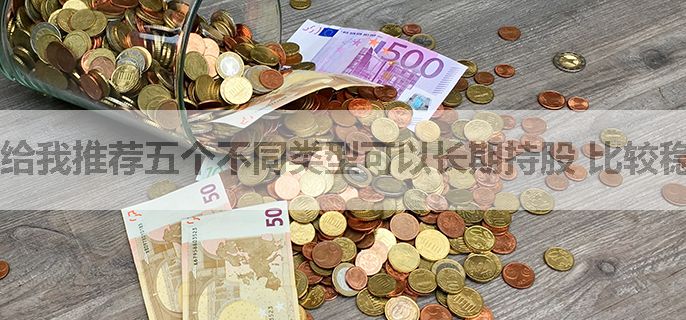 给我推荐五个不同类型可以长期持股 比较稳妥的股票