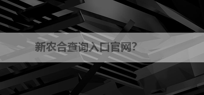 新农合查询入口官网？