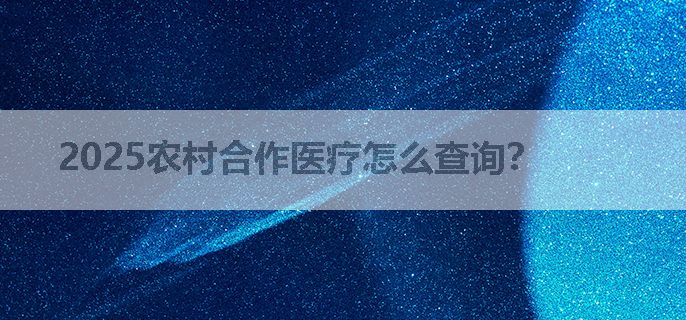 2025农村合作医疗怎么查询？