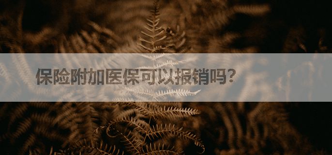 保险附加医保可以报销吗？