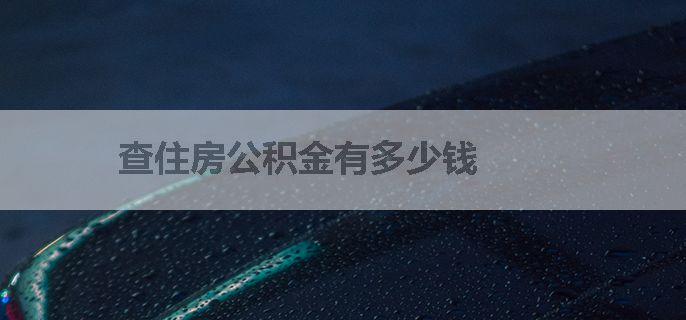 查住房公积金有多少钱