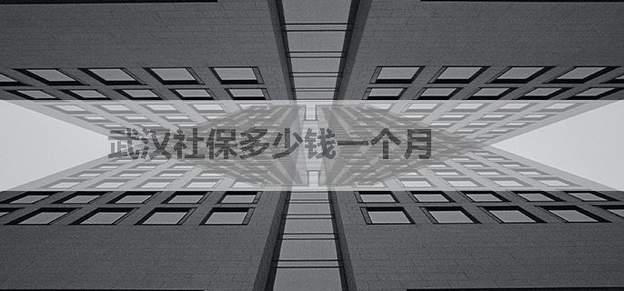 武汉社保多少钱一个月