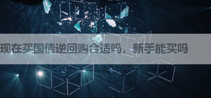 现在买国债逆回购合适吗，新手能买吗