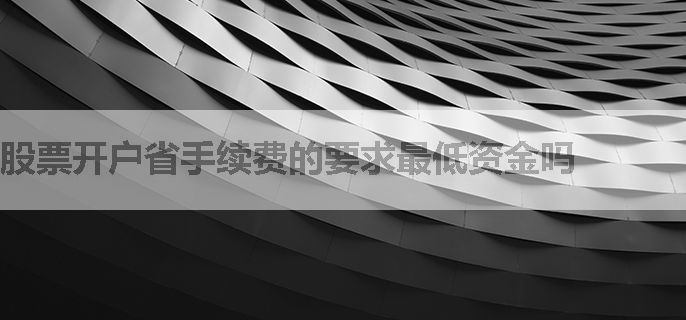 股票开户省手续费的要求最低资金吗